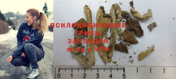 дмт Приозерск