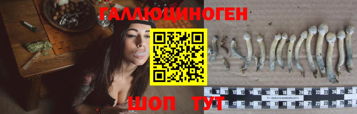 Отрадный  Галлюциногенные грибы Magic Shrooms  Вход с VPN 